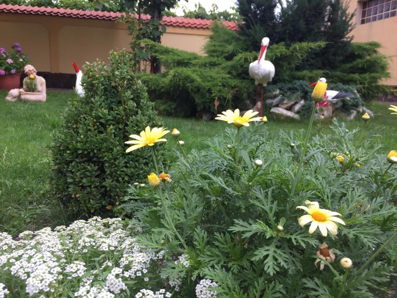 אווריג Casa Florea מראה חיצוני תמונה